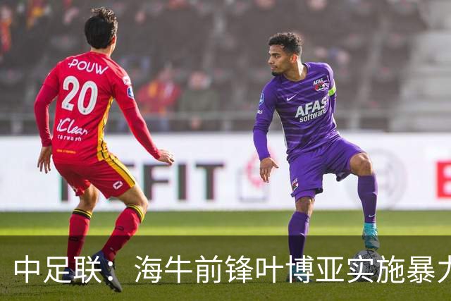 中足联：海牛前锋叶博亚实施暴力行为 停赛4场罚款4万