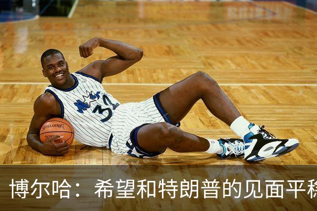 博尔哈：希望和特朗普的见面平稳渡过 我可不想他们把我扔进监狱