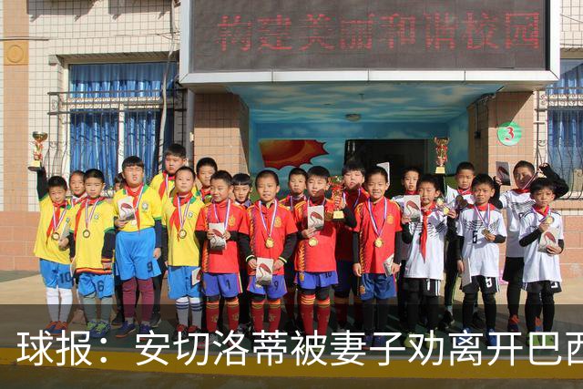 球报：安切洛蒂被妻子劝离开巴西队
