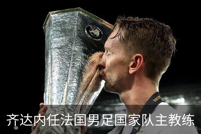 齐达内任法国男足国家队主教练